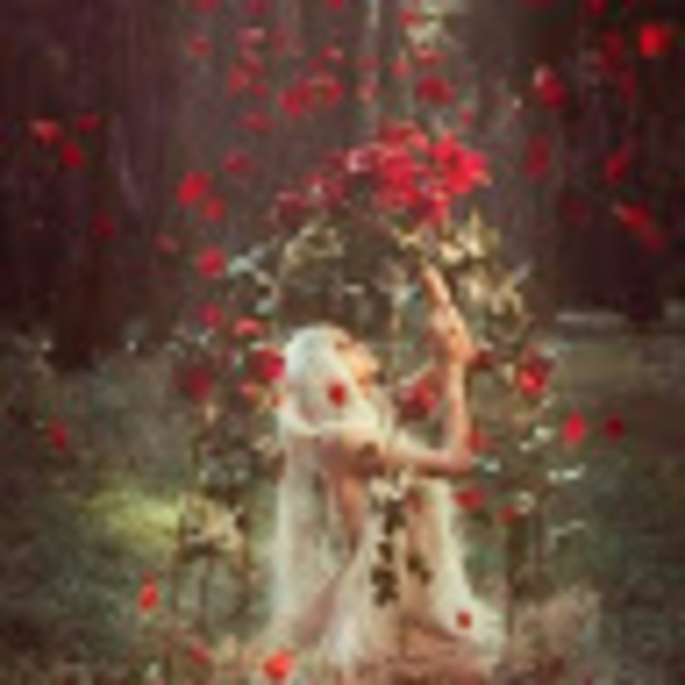 Meet your Posher, Lenore sunshine